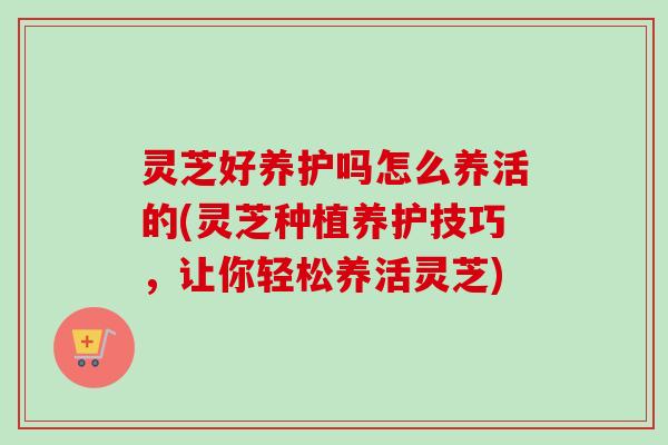 灵芝好养护吗怎么养活的(灵芝种植养护技巧，让你轻松养活灵芝)