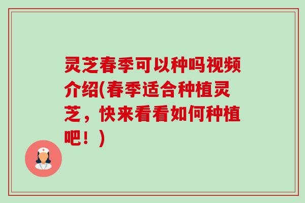 灵芝春季可以种吗视频介绍(春季适合种植灵芝,快来看看如何种植吧!) 灵芝春季可以种吗视频介绍(春季适合种植灵芝,快来看看如何种植吧!)