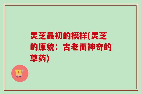 灵芝初的模样(灵芝的原貌:古老而神奇的草药) 灵芝初的模样(灵芝的原貌:古老而神奇的草药)