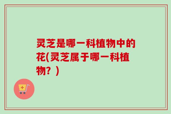 灵芝是哪一科植物中的花(灵芝属于哪一科植物?) 灵芝是哪一科植物中的花(灵芝属于哪一科植物?)