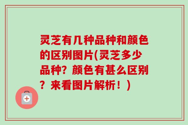 灵芝有几种品种和颜色的区别图片(灵芝多少品种?颜色有甚么区别?来看图片解析!) 灵芝有几种品种和颜色的区别图片(灵芝多少品种?颜色有甚么区别?来看图片解析!)
