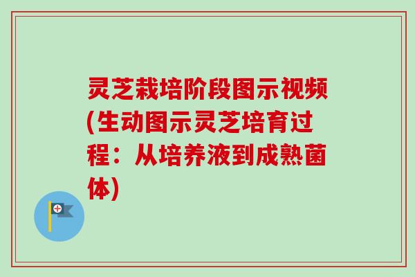 灵芝栽培阶段图示视频(生动图示灵芝培育过程:从培养液到成熟菌体) 灵芝栽培阶段图示视频(生动图示灵芝培育过程:从培养液到成熟菌体)