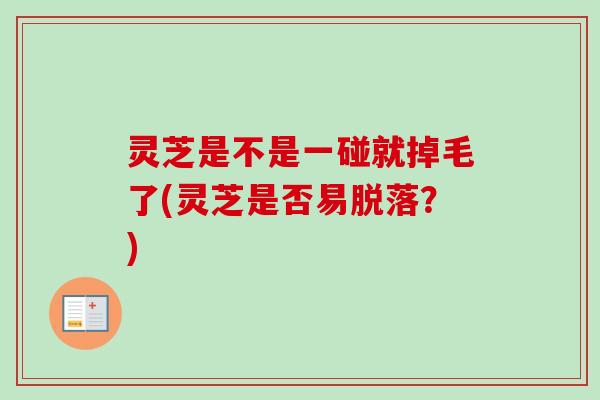 灵芝是不是一碰就掉毛了(灵芝是否易脱落?) 灵芝是不是一碰就掉毛了(灵芝是否易脱落?)