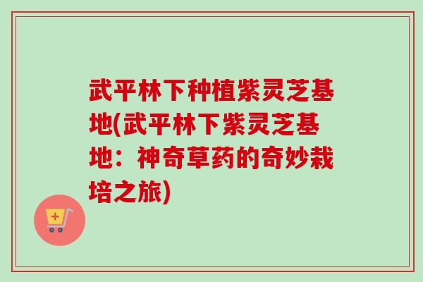 武平林下种植紫灵芝基地(武平林下紫灵芝基地：神奇草药的奇妙栽培之旅)