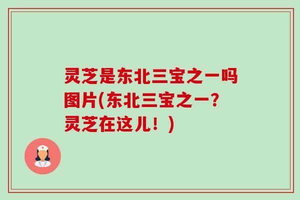 灵芝是东北三宝之一吗图片(东北三宝之一?灵芝在这儿!) 灵芝是东北三宝之一吗图片(东北三宝之一?灵芝在这儿!)