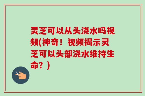灵芝可以从头浇水吗视频(神奇！视频揭示灵芝可以头部浇水维持生命？)