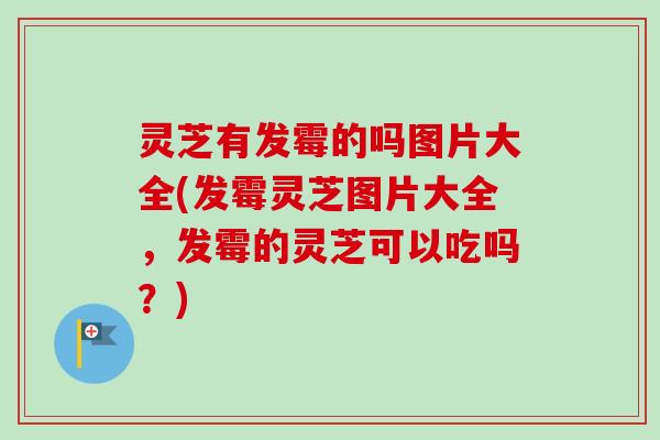 灵芝有发霉的吗图片大全(发霉灵芝图片大全，发霉的灵芝可以吃吗？)