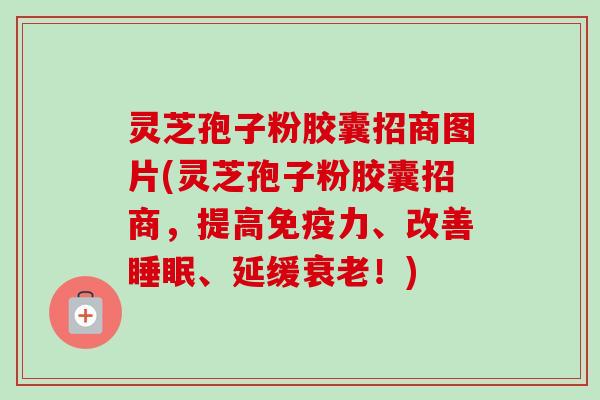 灵芝孢子粉胶囊招商图片(灵芝孢子粉胶囊招商,提高免疫力、改善、延缓!) 灵芝孢子粉胶囊招商图片(灵芝孢子粉胶囊招商,提高免疫力、改善、延缓!)