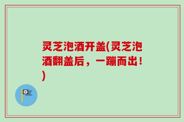 灵芝泡酒开盖(灵芝泡酒翻盖后,一蹦而出!) 灵芝泡酒开盖(灵芝泡酒翻盖后,一蹦而出!)