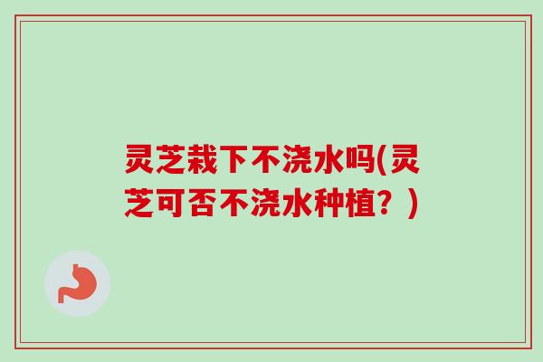 灵芝栽下不浇水吗(灵芝可否不浇水种植?) 灵芝栽下不浇水吗(灵芝可否不浇水种植?)