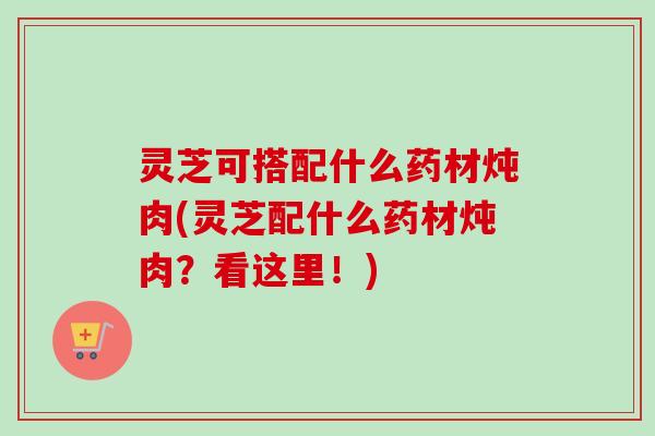 灵芝可搭配什么药材炖肉(灵芝配什么药材炖肉?看这里!) 灵芝可搭配什么药材炖肉(灵芝配什么药材炖肉?看这里!)