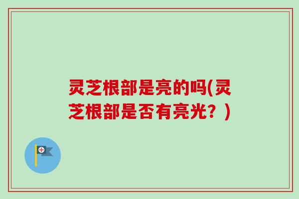 灵芝根部是亮的吗(灵芝根部是否有亮光？)