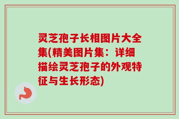 灵芝孢子长相图片大全集(精美图片集:详细描绘灵芝孢子的外观特征与生长形态) 灵芝孢子长相图片大全集(精美图片集:详细描绘灵芝孢子的外观特征与生长形态)