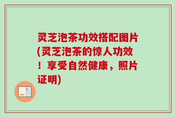 灵芝泡茶功效搭配图片(灵芝泡茶的惊人功效!享受自然健康,照片证明) 灵芝泡茶功效搭配图片(灵芝泡茶的惊人功效!享受自然健康,照片证明)
