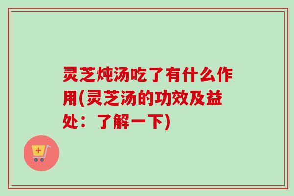 灵芝炖汤吃了有什么作用(灵芝汤的功效及益处：了解一下)