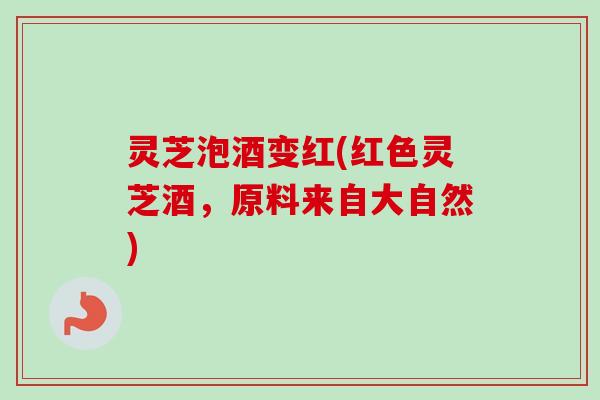 灵芝泡酒变红(红色灵芝酒,原料来自大自然) 灵芝泡酒变红(红色灵芝酒,原料来自大自然)