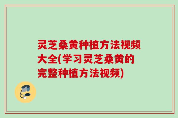 灵芝桑黄种植方法视频大全(学习灵芝桑黄的完整种植方法视频)