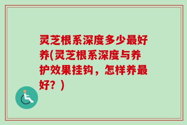 灵芝根系深度多少好养(灵芝根系深度与养护效果挂钩,怎样养好?) 灵芝根系深度多少好养(灵芝根系深度与养护效果挂钩,怎样养好?)
