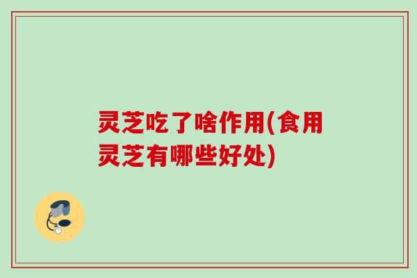 灵芝吃了啥作用(食用灵芝有哪些好处) 灵芝吃了啥作用(食用灵芝有哪些好处)