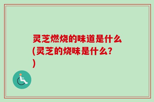 灵芝燃烧的味道是什么(灵芝的烧味是什么?) 灵芝燃烧的味道是什么(灵芝的烧味是什么?)