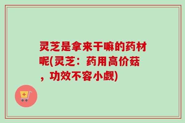 灵芝是拿来干嘛的药材呢(灵芝:药用高价菇,功效不容小觑) 灵芝是拿来干嘛的药材呢(灵芝:药用高价菇,功效不容小觑)