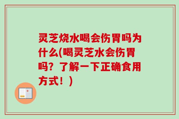 灵芝烧水喝会伤胃吗为什么(喝灵芝水会伤胃吗?了解一下正确食用方式!) 灵芝烧水喝会伤胃吗为什么(喝灵芝水会伤胃吗?了解一下正确食用方式!)