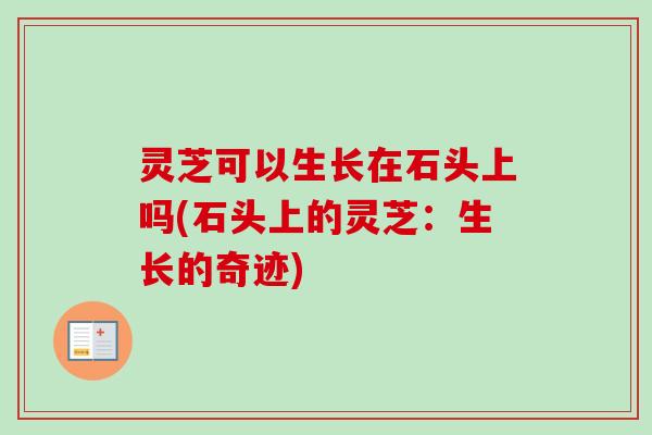 灵芝可以生长在石头上吗(石头上的灵芝:生长的奇迹) 灵芝可以生长在石头上吗(石头上的灵芝:生长的奇迹)