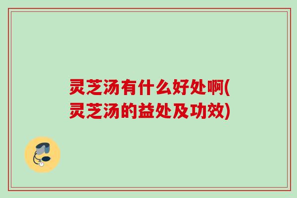 灵芝汤有什么好处啊(灵芝汤的益处及功效)