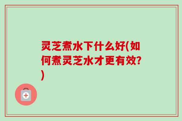 灵芝煮水下什么好(如何煮灵芝水才更有效?) 灵芝煮水下什么好(如何煮灵芝水才更有效?)