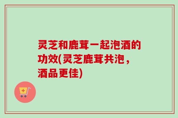 灵芝和鹿茸一起泡酒的功效(灵芝鹿茸共泡，酒品更佳)