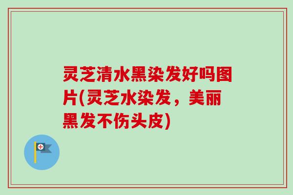灵芝清水黑染发好吗图片(灵芝水染发,美丽黑发不伤头皮) 灵芝清水黑染发好吗图片(灵芝水染发,美丽黑发不伤头皮)