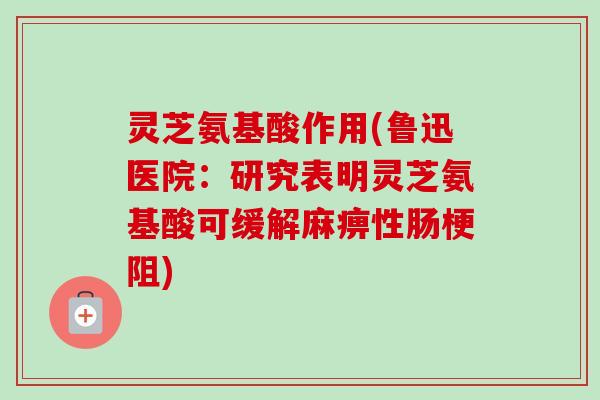 灵芝氨基酸作用(鲁迅医院:研究表明灵芝氨基酸可缓解麻痹性肠梗阻) 灵芝氨基酸作用(鲁迅医院:研究表明灵芝氨基酸可缓解麻痹性肠梗阻)