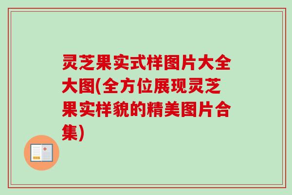 灵芝果实式样图片大全大图(全方位展现灵芝果实样貌的精美图片合集)