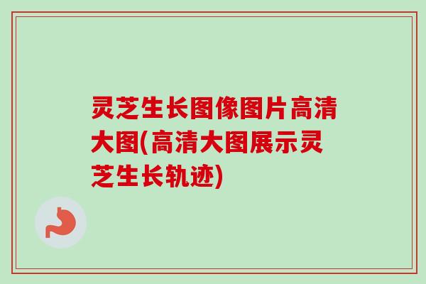 灵芝生长图像图片高清大图(高清大图展示灵芝生长轨迹) 灵芝生长图像图片高清大图(高清大图展示灵芝生长轨迹)