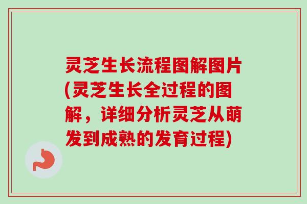 灵芝生长流程图解图片(灵芝生长全过程的图解，详细分析灵芝从萌发到成熟的发育过程)