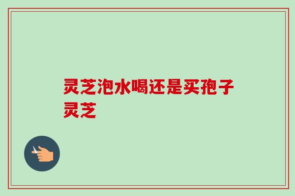 灵芝泡水喝还是买孢子灵芝 灵芝泡水喝还是买孢子灵芝