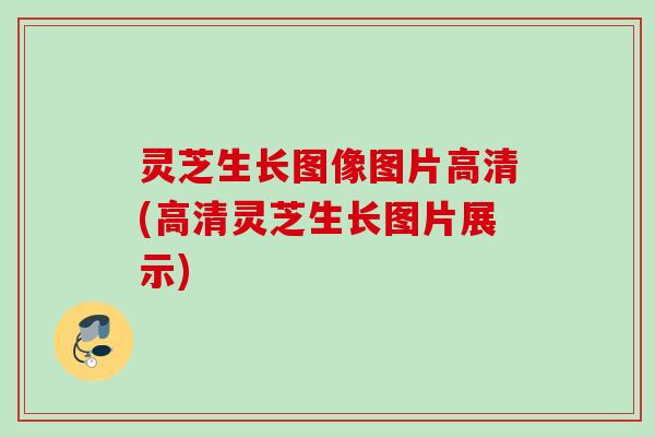灵芝生长图像图片高清(高清灵芝生长图片展示) 灵芝生长图像图片高清(高清灵芝生长图片展示)