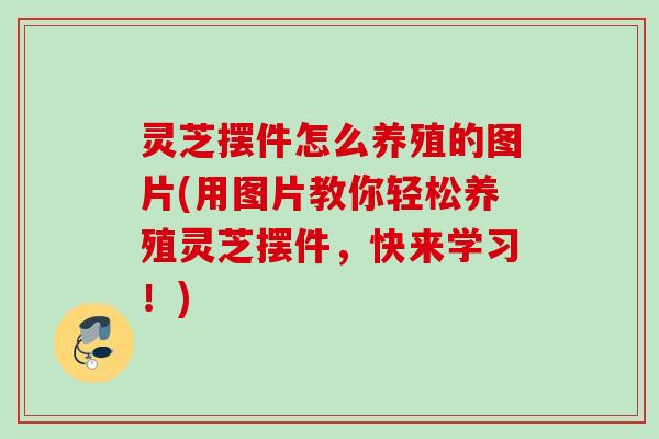 灵芝摆件怎么养殖的图片(用图片教你轻松养殖灵芝摆件,快来学习!) 灵芝摆件怎么养殖的图片(用图片教你轻松养殖灵芝摆件,快来学习!)