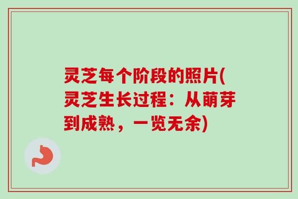 灵芝每个阶段的照片(灵芝生长过程：从萌芽到成熟，一览无余)