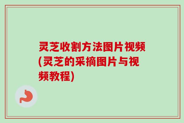 灵芝收割方法图片视频(灵芝的采摘图片与视频教程)