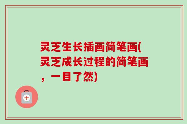 灵芝生长插画简笔画(灵芝成长过程的简笔画，一目了然)