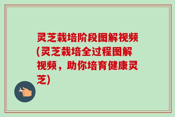 灵芝栽培阶段图解视频(灵芝栽培全过程图解视频,助你培育健康灵芝) 灵芝栽培阶段图解视频(灵芝栽培全过程图解视频,助你培育健康灵芝)