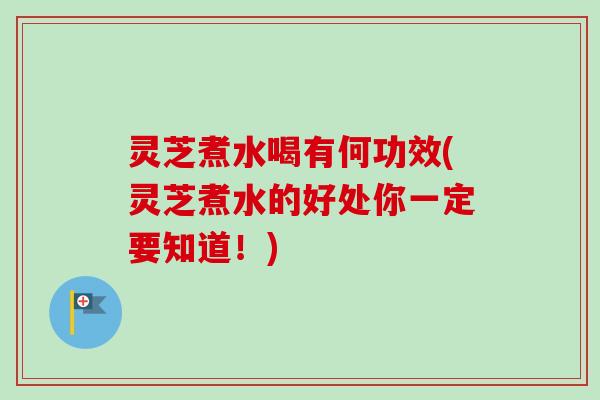 灵芝煮水喝有何功效(灵芝煮水的好处你一定要知道！)
