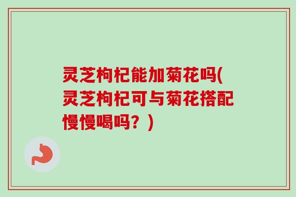 灵芝枸杞能加菊花吗(灵芝枸杞可与菊花搭配慢慢喝吗？)