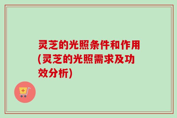 灵芝的光照条件和作用(灵芝的光照需求及功效分析)