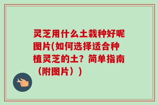 灵芝用什么土栽种好呢图片(如何选择适合种植灵芝的土？简单指南（附图片）)
