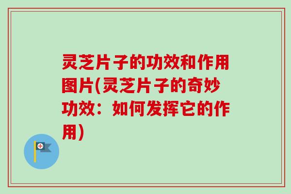 灵芝片子的功效和作用图片(灵芝片子的奇妙功效：如何发挥它的作用)