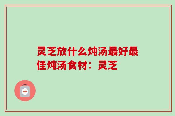 灵芝放什么炖汤好佳炖汤食材：灵芝