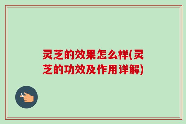 灵芝的效果怎么样(灵芝的功效及作用详解)