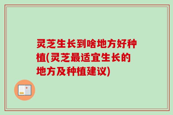 灵芝生长到啥地方好种植(灵芝适宜生长的地方及种植建议)
